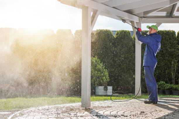 Best Pool Deck Cleaning  in Columbus, NM