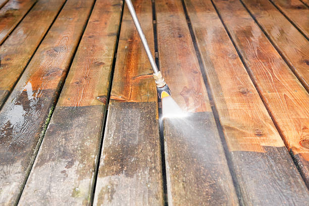 Best Gutter Cleaning  in Columbus, NM